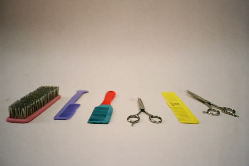 Grooming brushes, a comb and clippers laid out on a clean surface